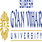 Suresh Gyan Vihar University - [SGVU]