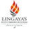 Lingayas Institute of Management and Technology - [LIMAT] logo
