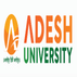 Adesh University