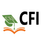 CFI College of Education logo