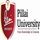 Pillai University logo