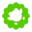 Duolingo logo