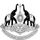 Sree Chitra Thirunal College of Engineering - [SCTCE] logo