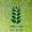 National Research Centre Seed Spices