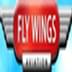 Fly Wings Aviation Pvt Ltd