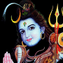 Harish Yadav