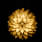 Bhavya
