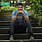 Ankit Pingle
