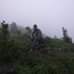 Vibhu