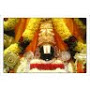 Swami Gajjala