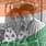 Abhinav Dey
