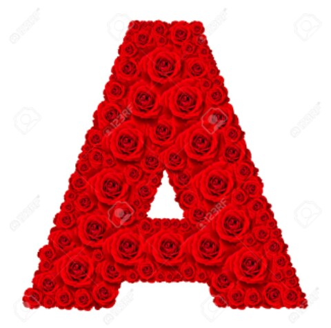 Amit Kulhar