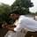 Ashutosh Singh Rathore