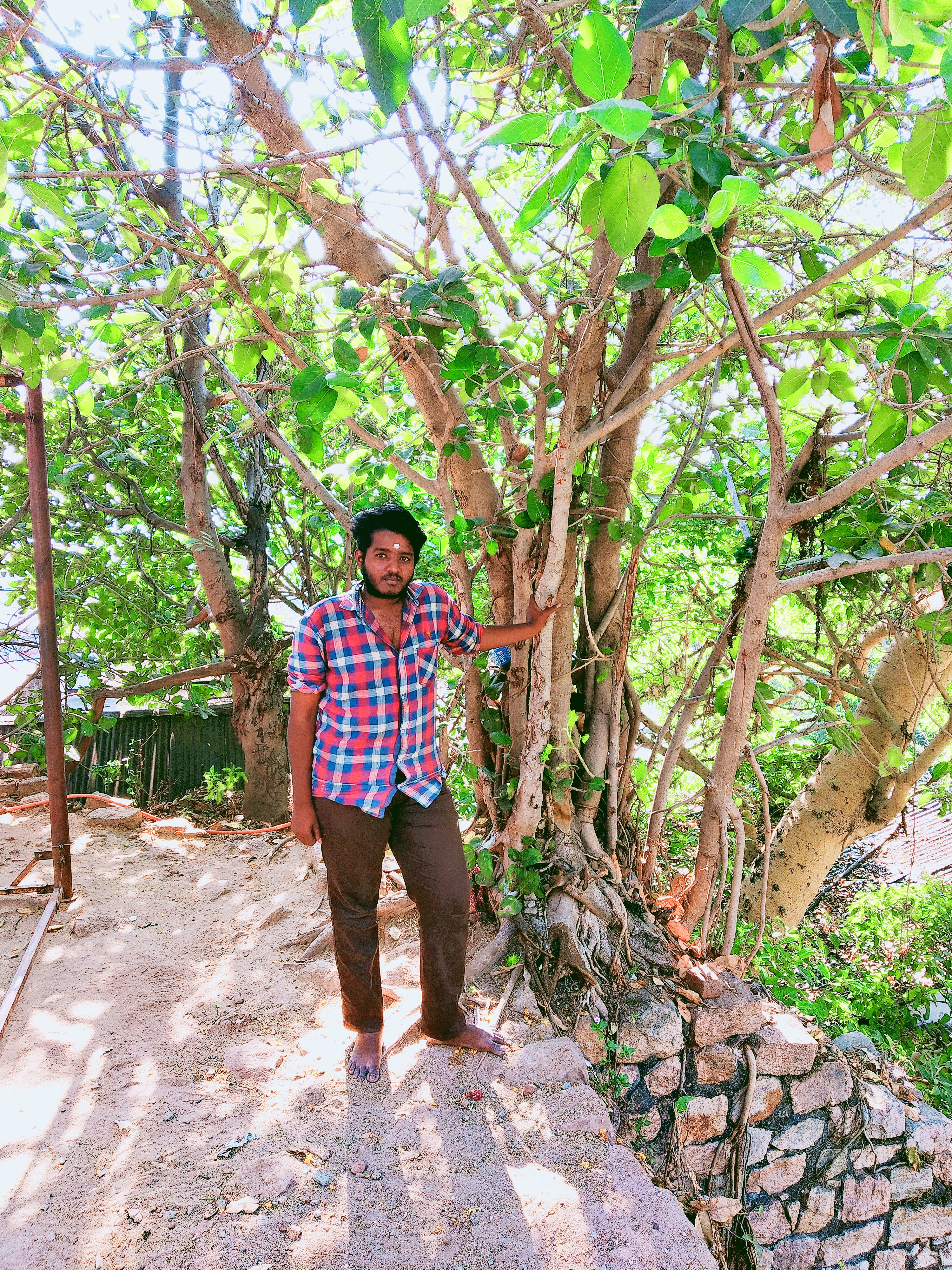 Janarthanan