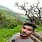 Mahavir Galve