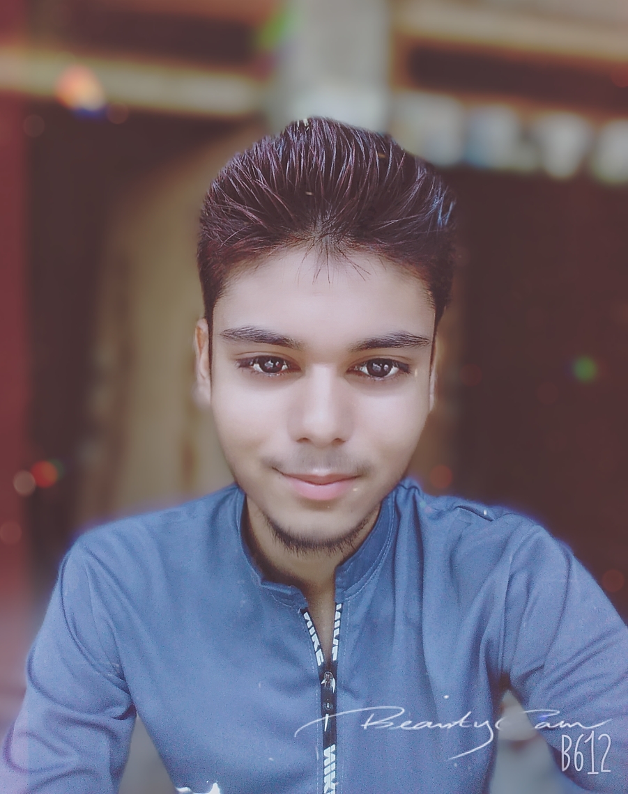 RAHUL MEENA
