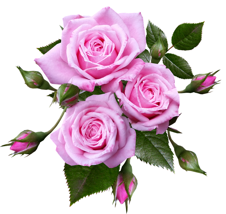 S. Vasanth