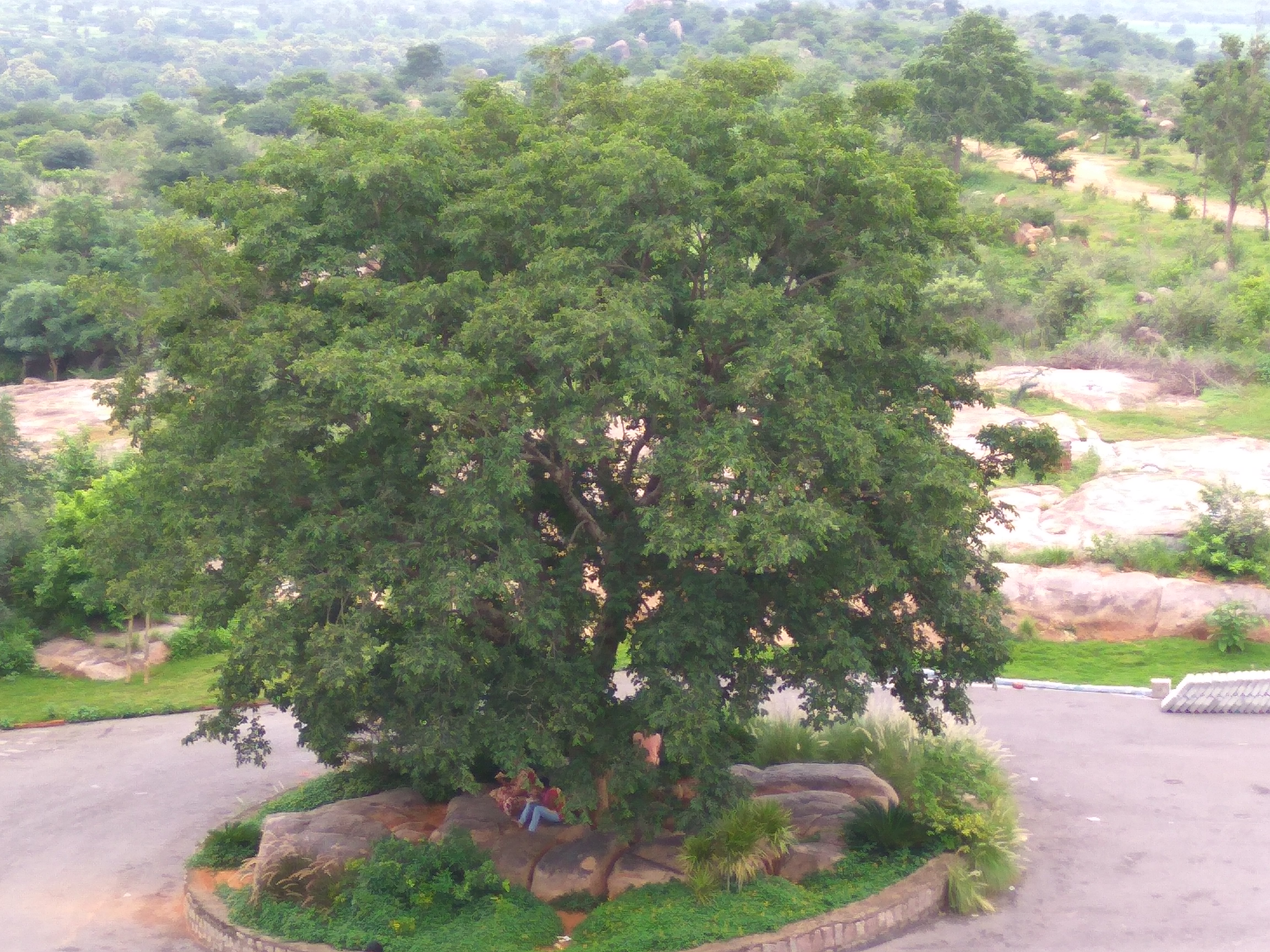 SRINIDHI