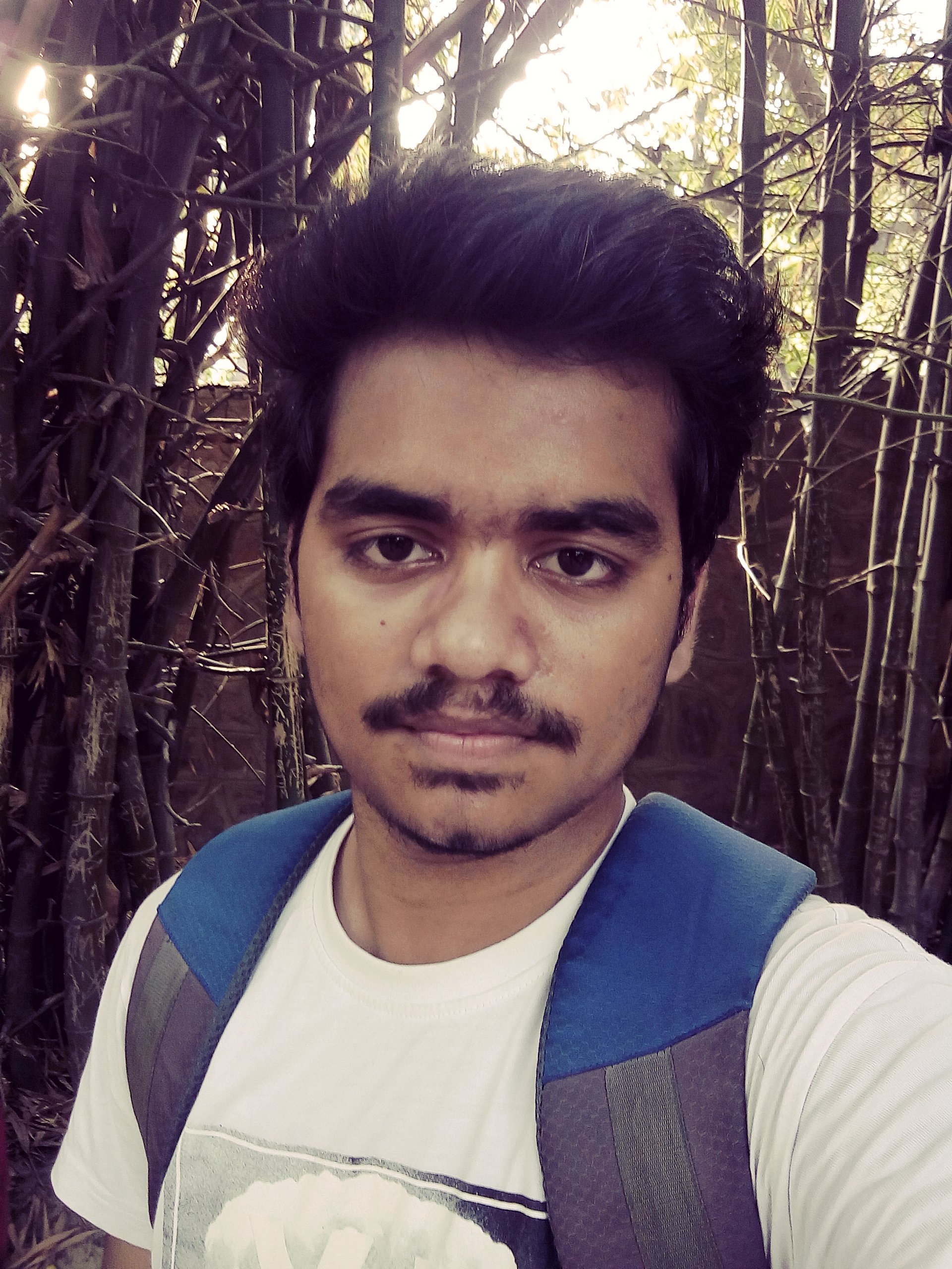 Vinay