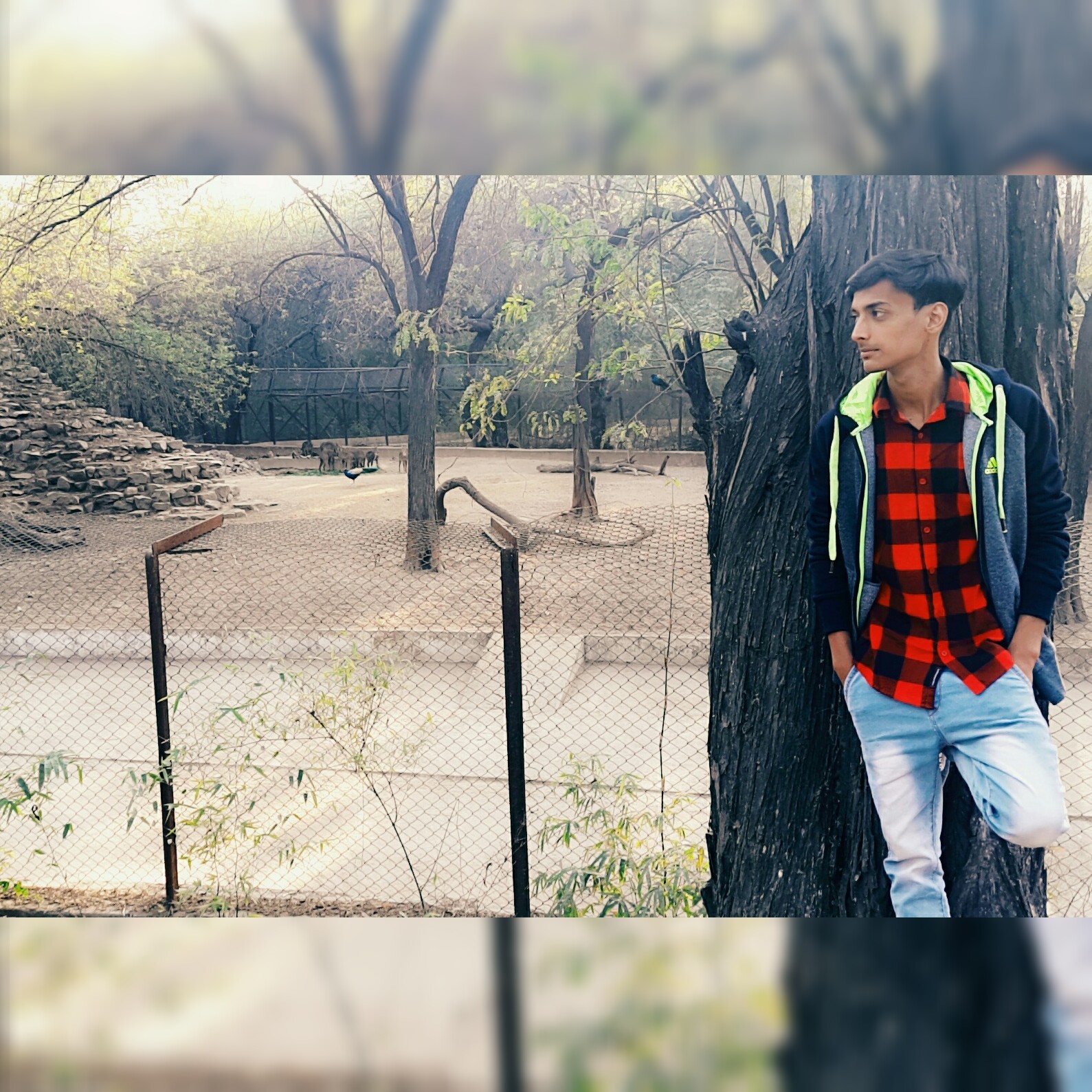 Rohit