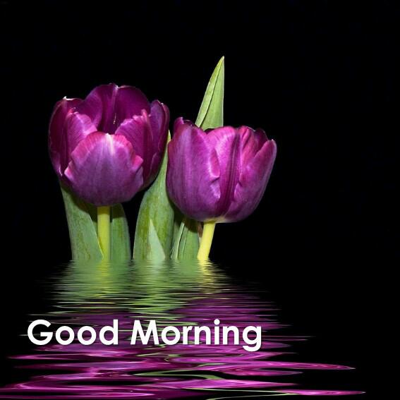 Shreya