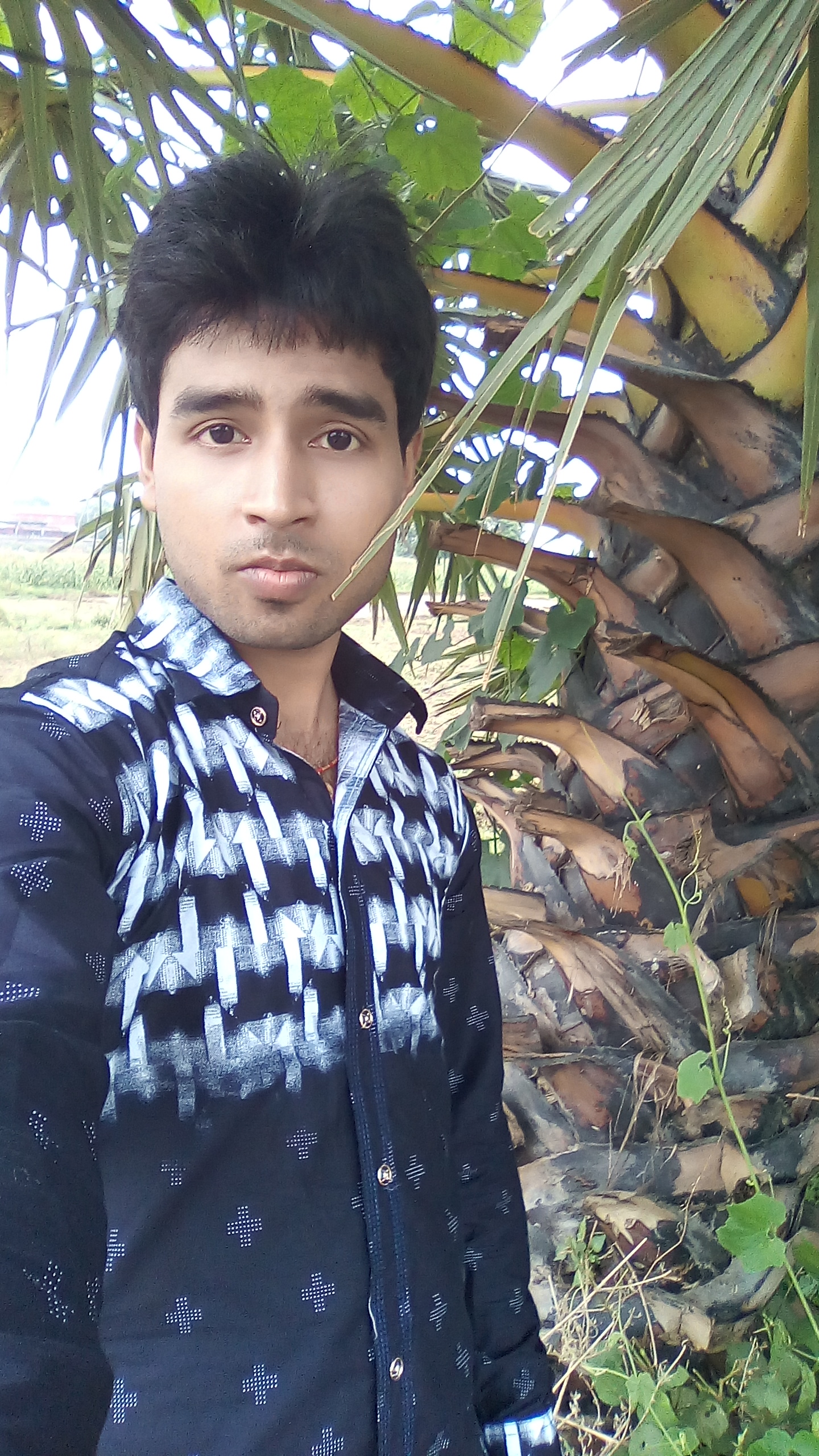 Ankit