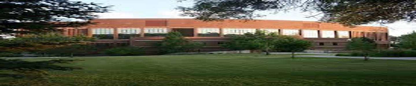 Montana State University banner