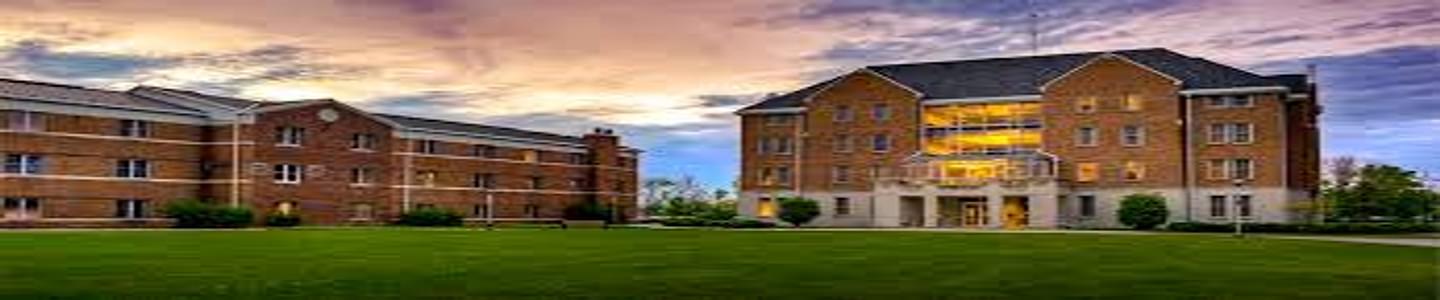 Bluffton University banner