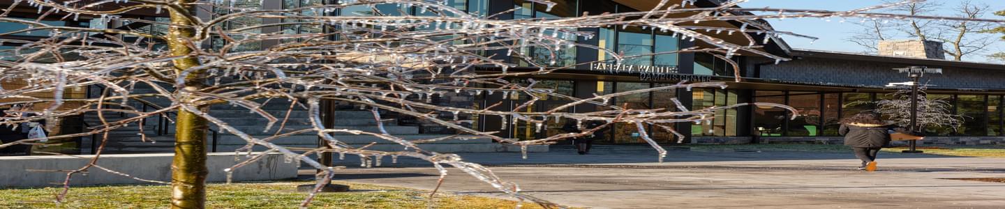 Sarah Lawrence College banner