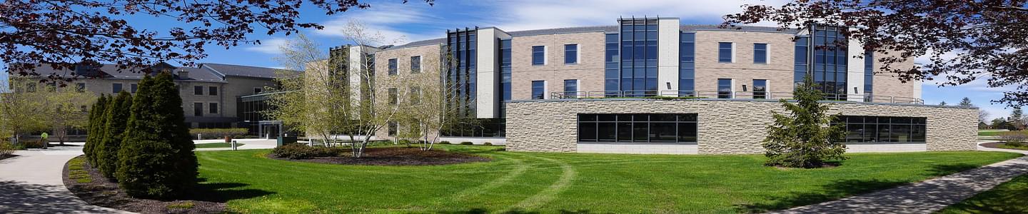 Niagara University banner