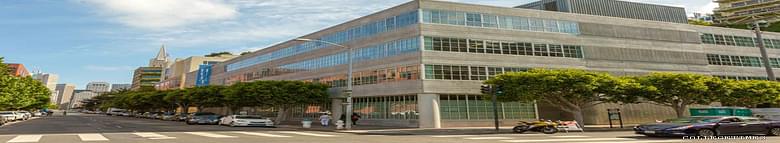 Hult International Business School