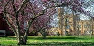 SIU-Carbondale
