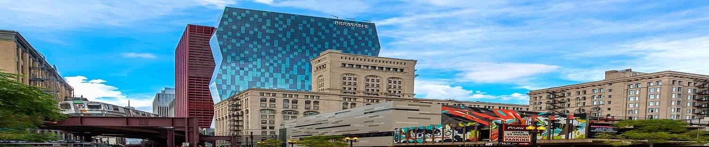Roosevelt University banner