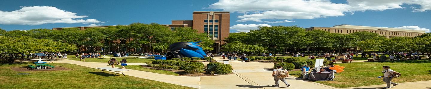 DePaul University banner