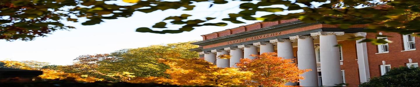 Clemson University banner