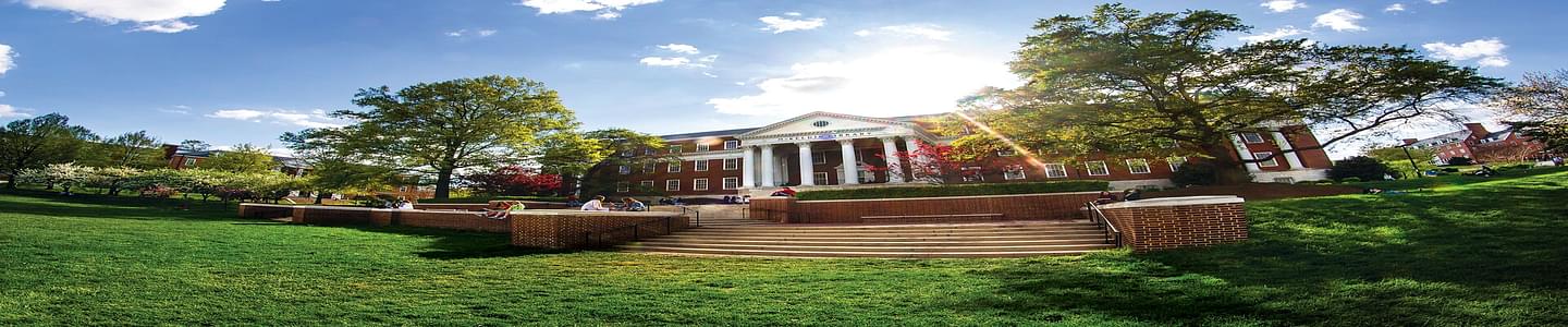 university of maryland college park acceptance rate 2024