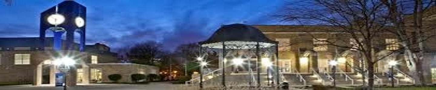 Franklin University banner