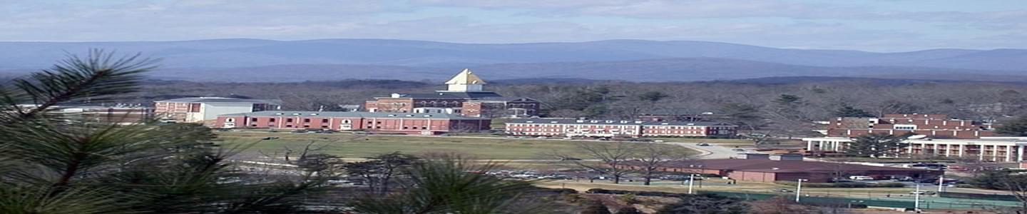 University of North Georgia banner