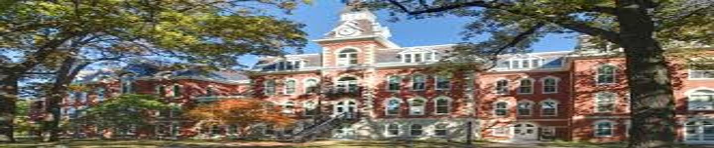 Saint Ambrose University banner