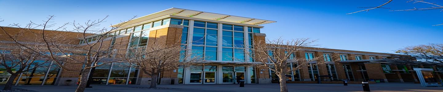 University of North Texas banner