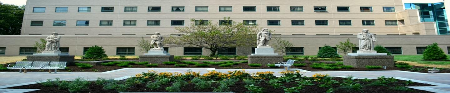 Wayne State University banner