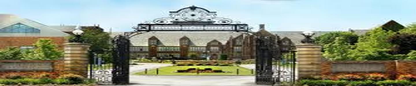 Mercyhurst University banner
