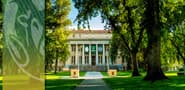 Colorado State University