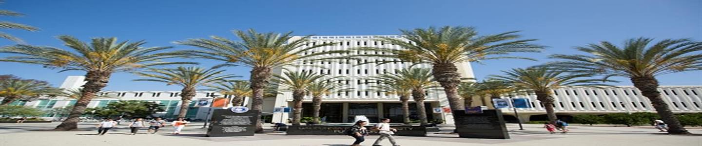 California State University banner