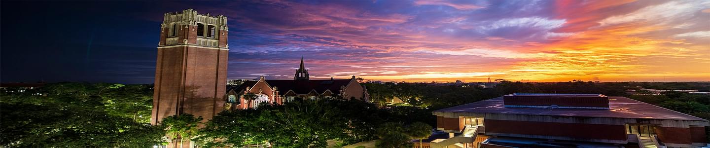 University of Florida banner