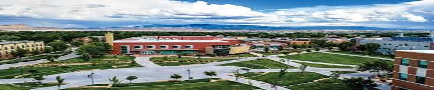 Colorado Mesa University banner