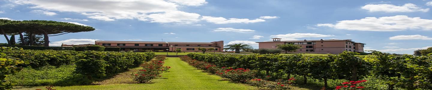 University of Dallas banner