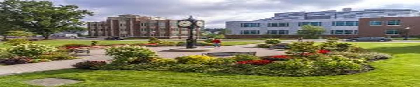 Saint Francis University banner