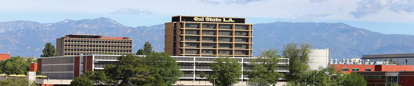 California State University banner