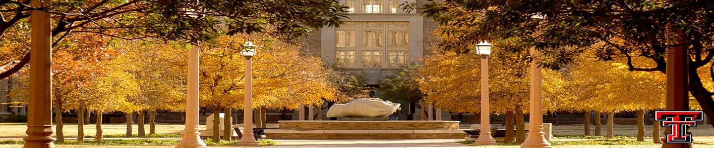 Texas Tech University banner